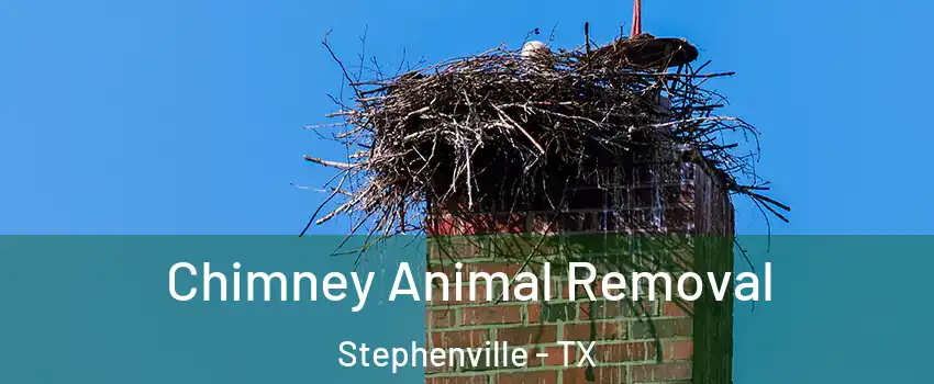  Chimney Animal Removal Stephenville - TX