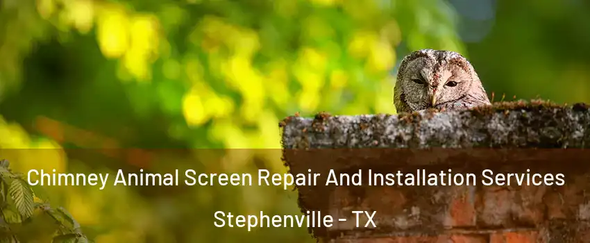  Chimney Animal Screen Repair And Installation Services Stephenville - TX