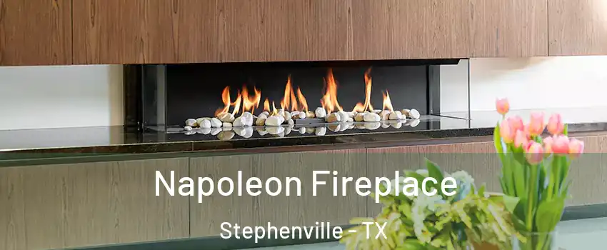  Napoleon Fireplace Stephenville - TX